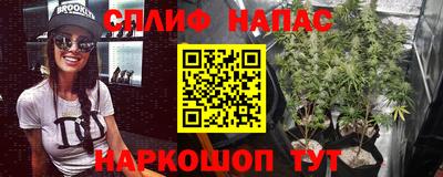 a pvp Майкоп