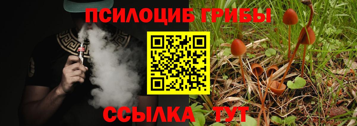 Псилоцибиновые грибы мухоморы  Вход с VPN  Прохладный 