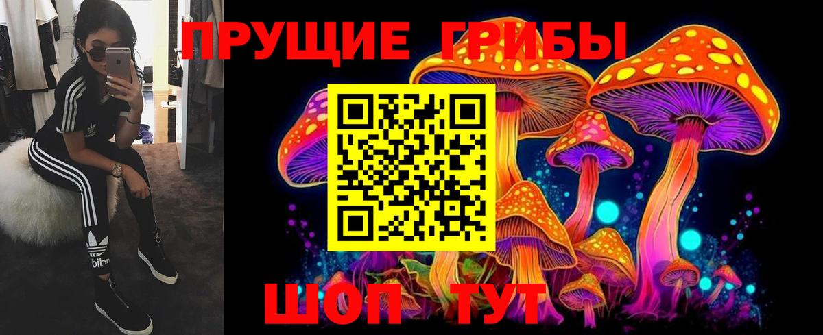 Псилоцибиновые грибы ЛСД Прохладный