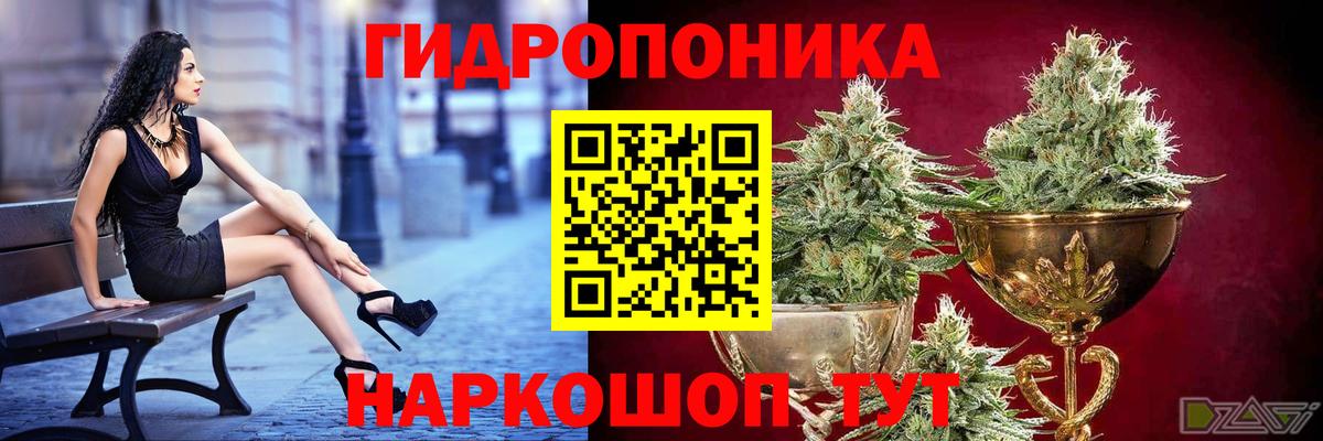 Бошки марихуана MAZAR  Вход с VPN  Канабис гибрид  Прохладный  Бошки Шишки планчик  МАРИХУАНА AK-47 